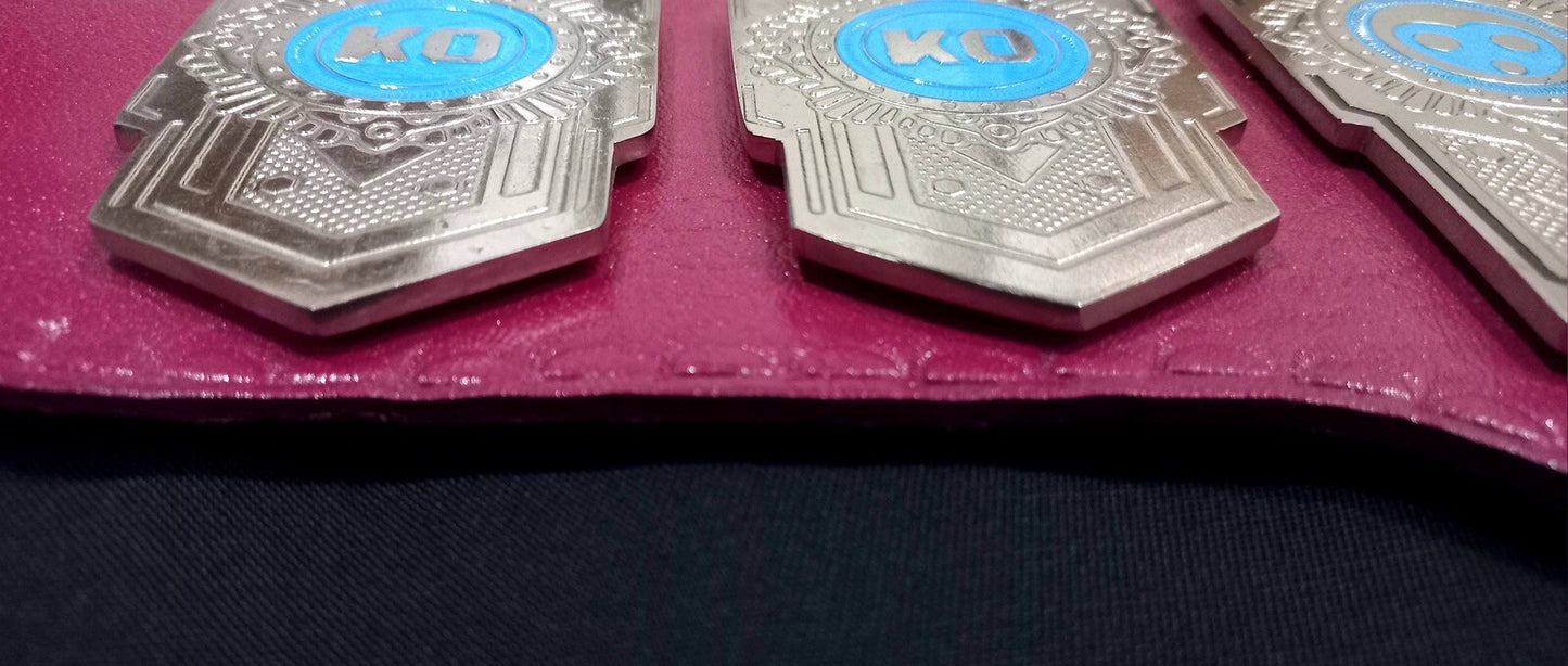 WWE, WWF , Boxing , MMA Wrestling Belts Brand New